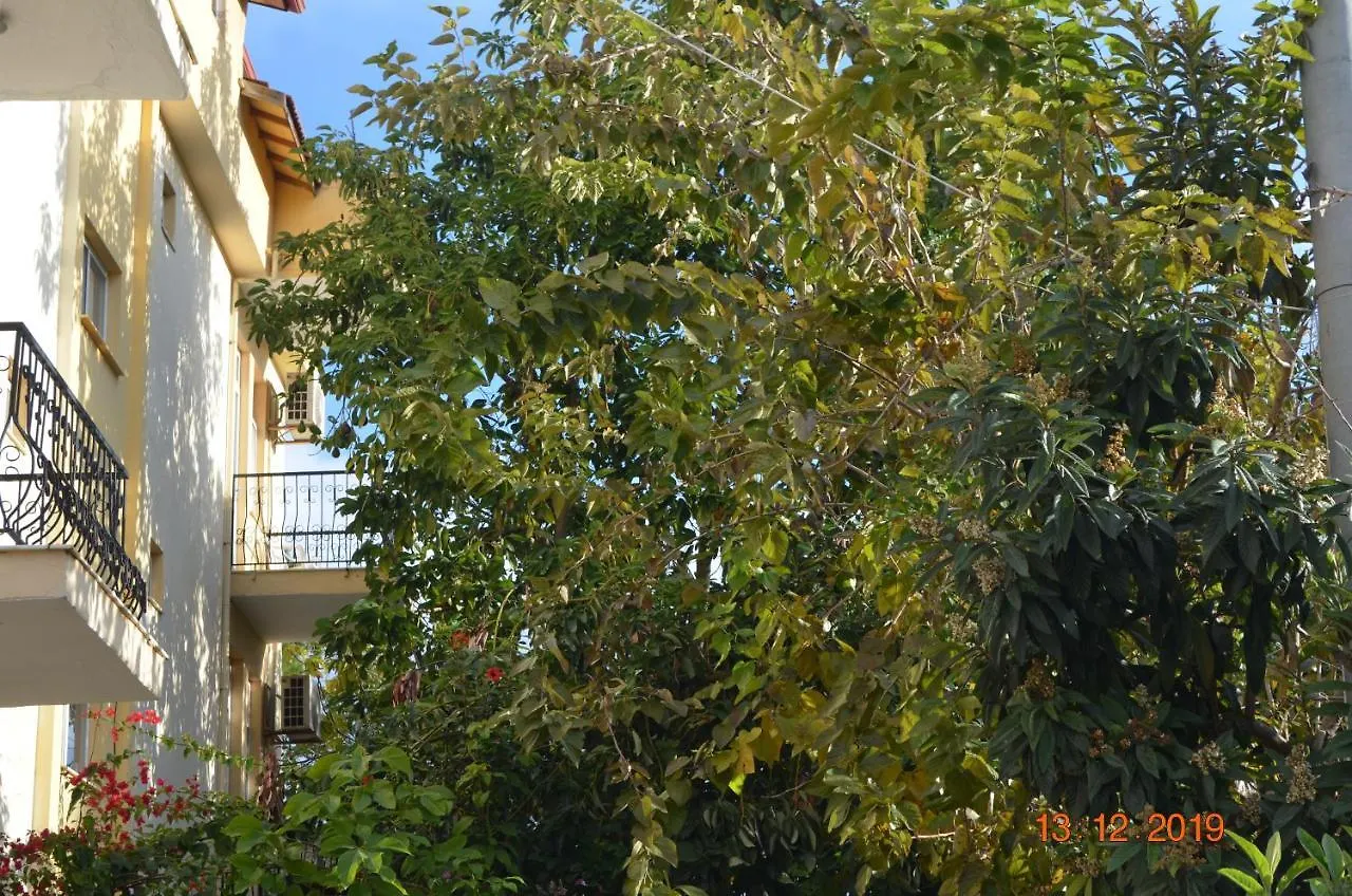 Hotel Uygar Φετιγιέ